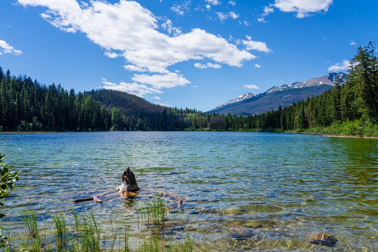 Cabin Lake, Jasper National Park